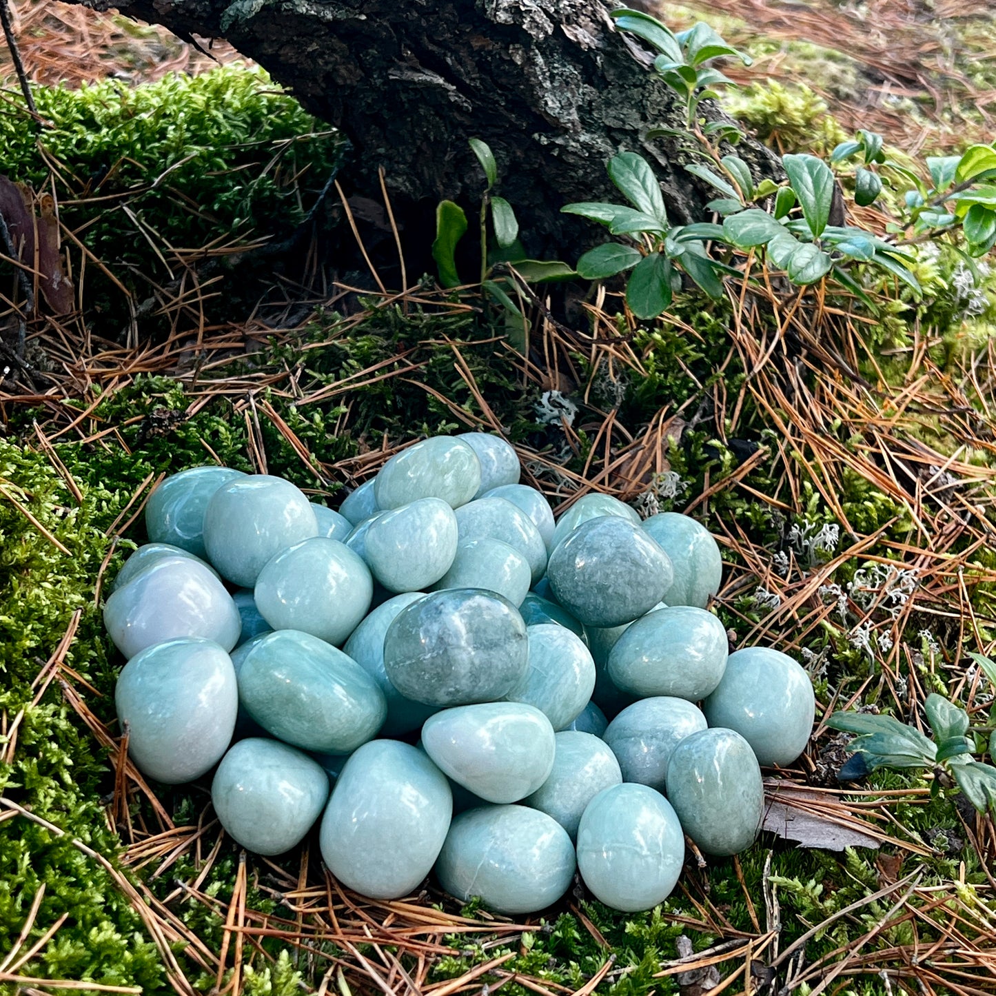 Trumlad Grön Jade