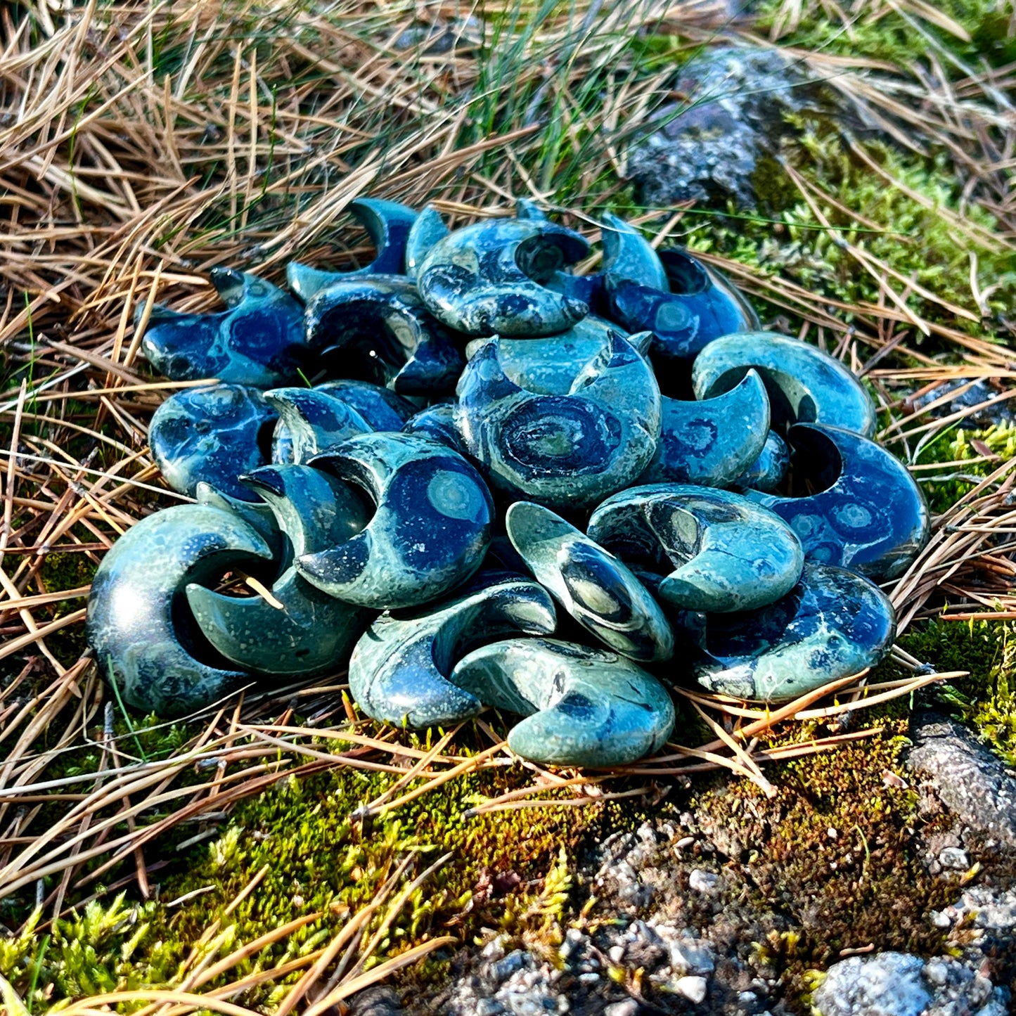 Kambaba jasper, moon, cut stone