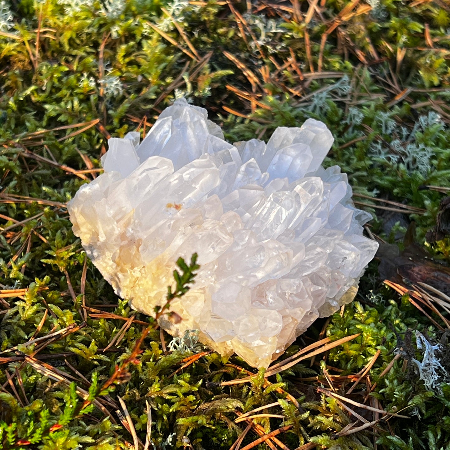 Clear Quartz Cluster