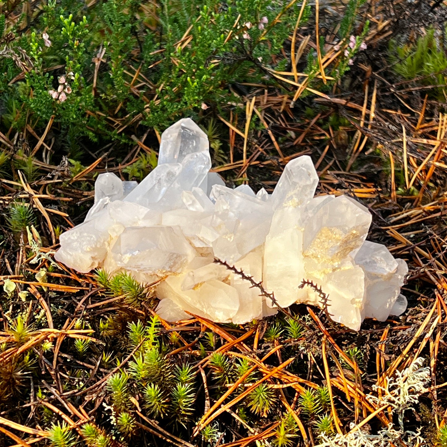 Clear Quartz Cluster