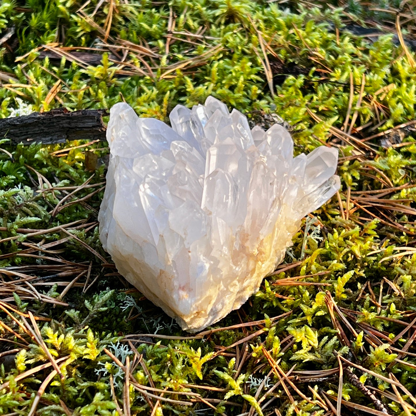 Clear Quartz Cluster