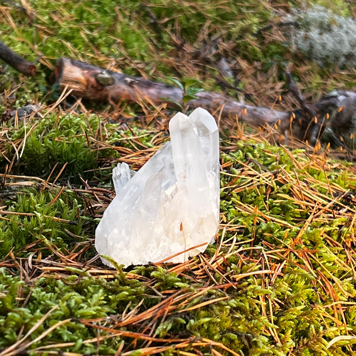 Clear Quartz Cluster