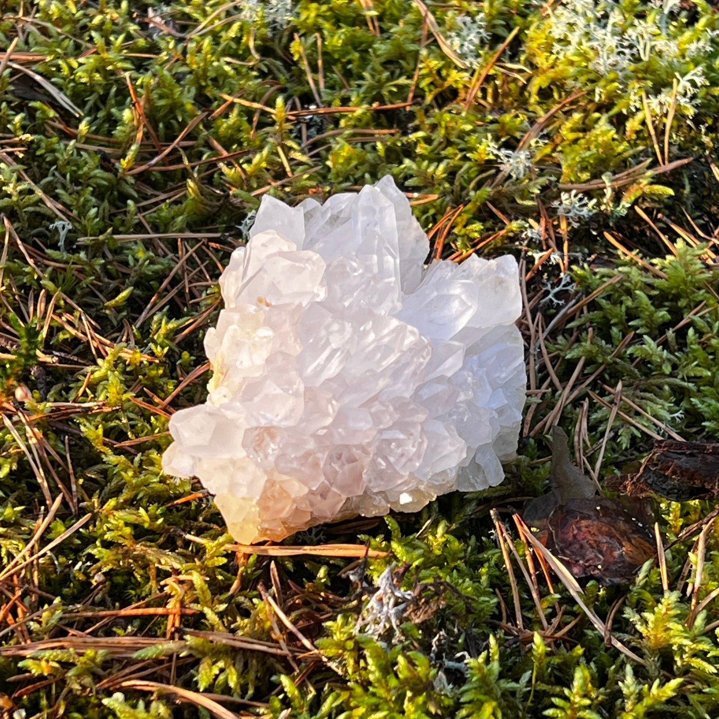 Clear Quartz Cluster