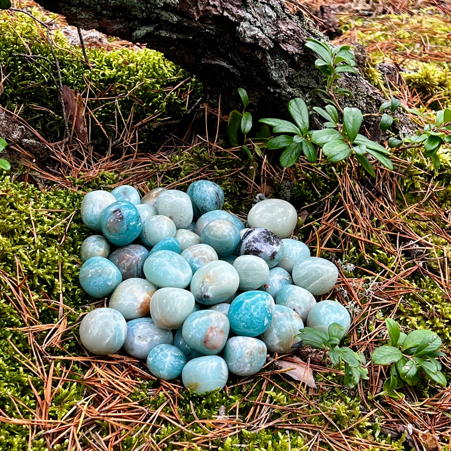 Amazonite, tumbled