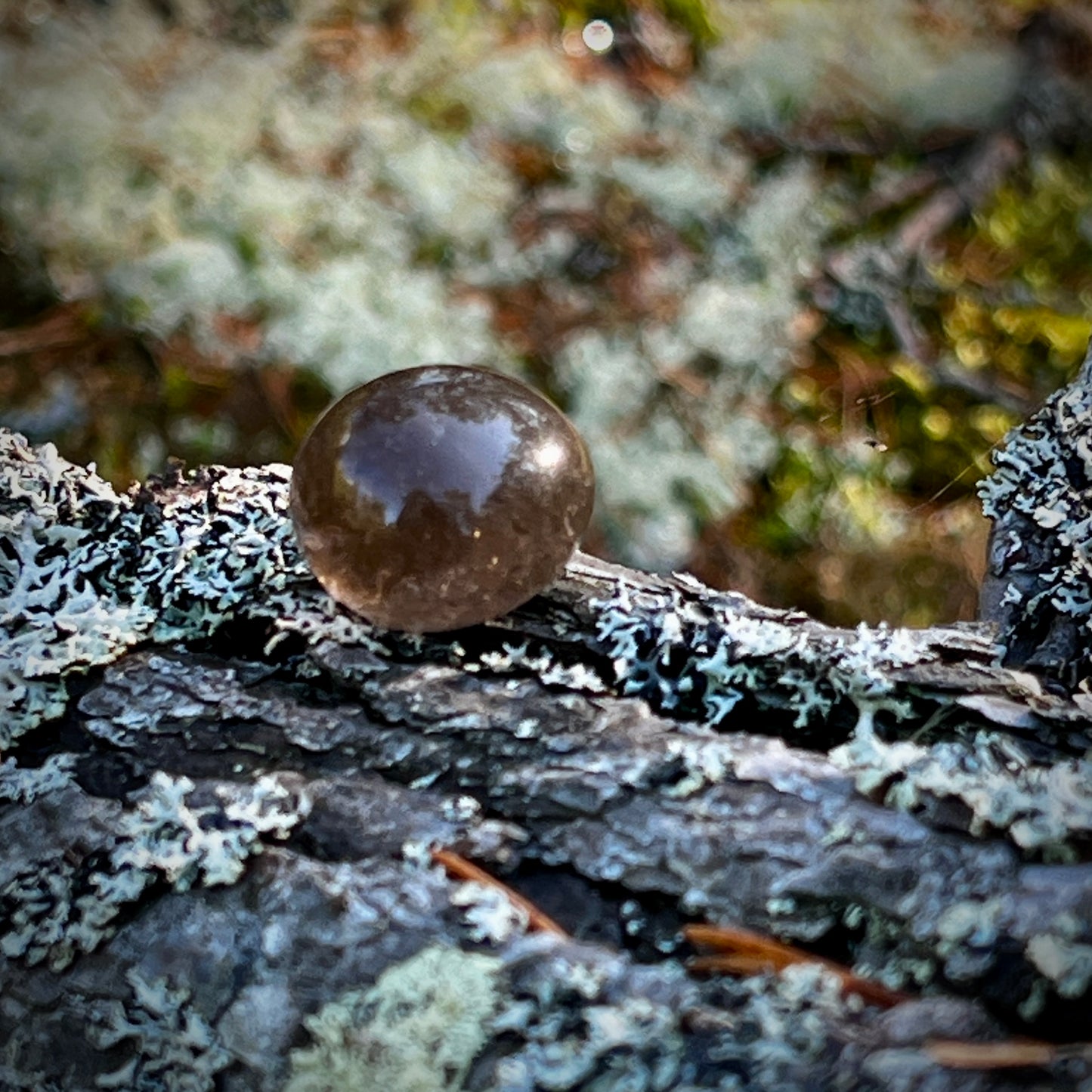 Smoky quartz, tumbled, high quality