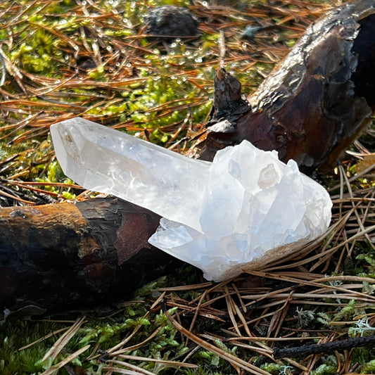 Clear Quartz Cluster