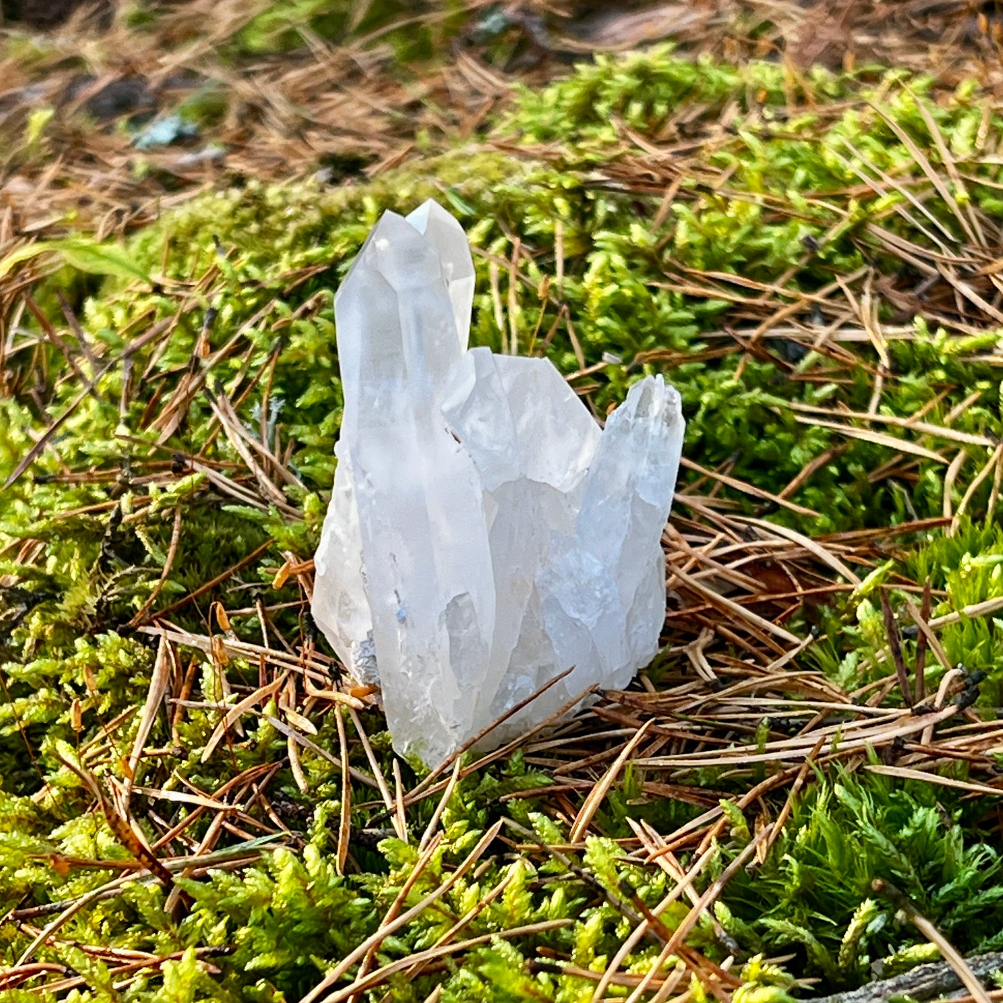 Clear Quartz Cluster