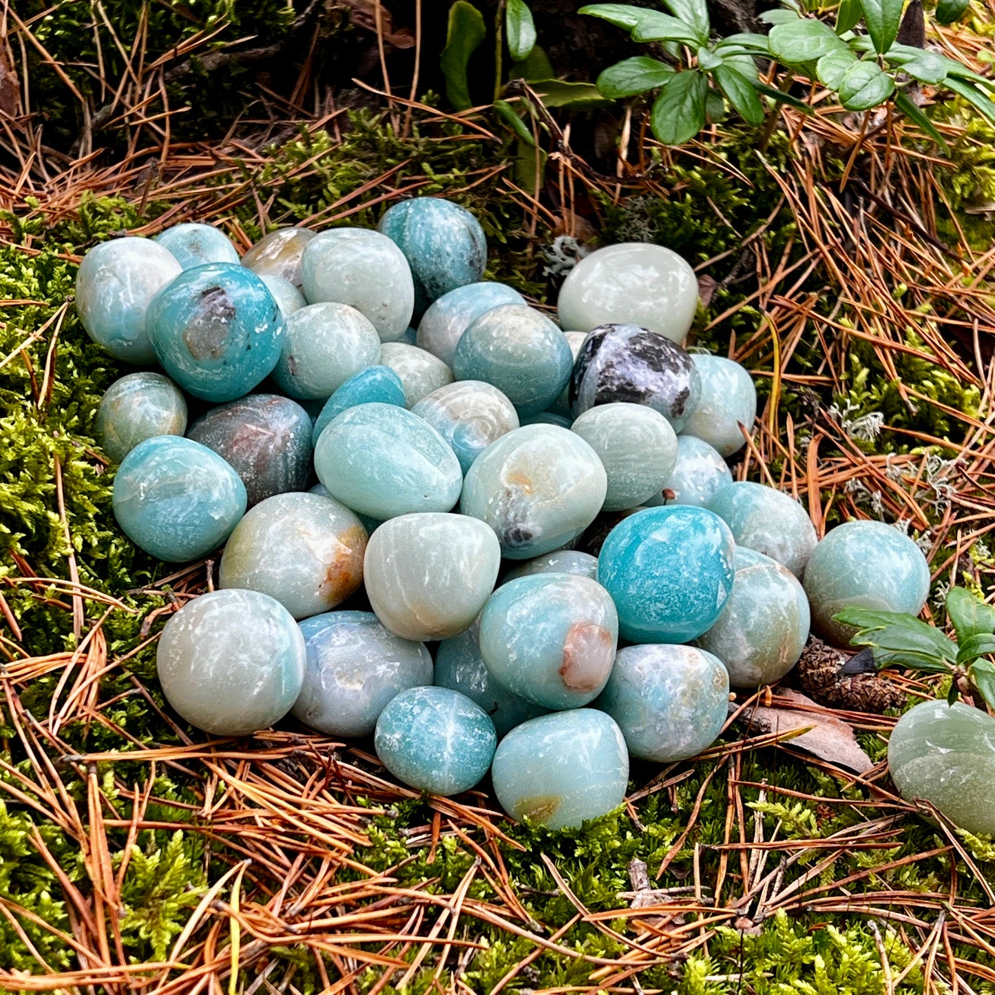 Amazonite, tumbled