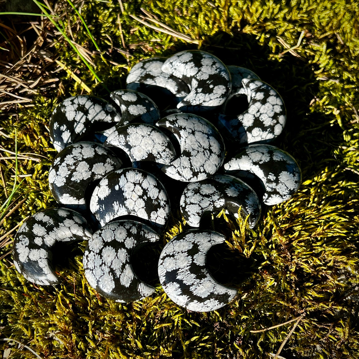 Snöflinge obsidian måne