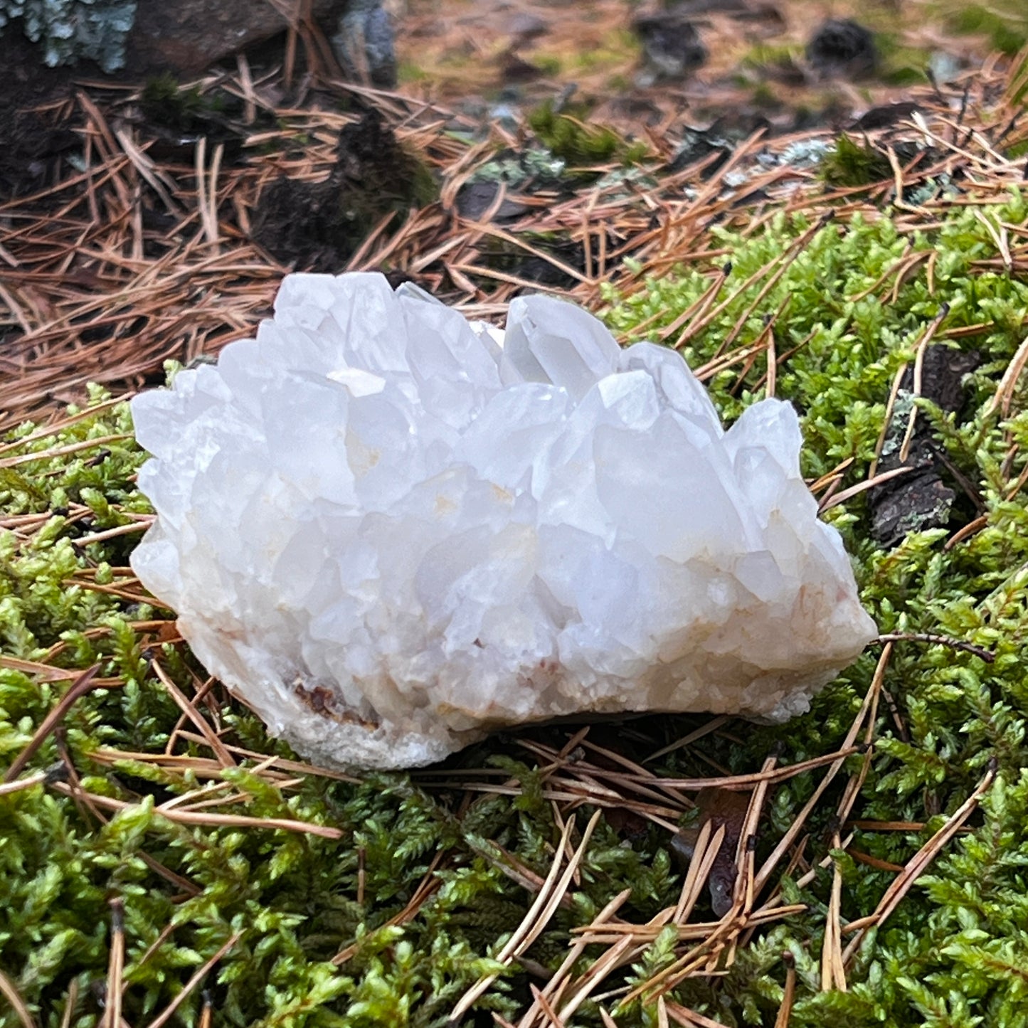 Clear Quartz Cluster