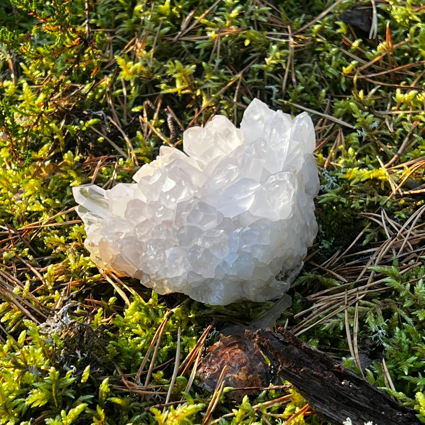 Clear Quartz Cluster