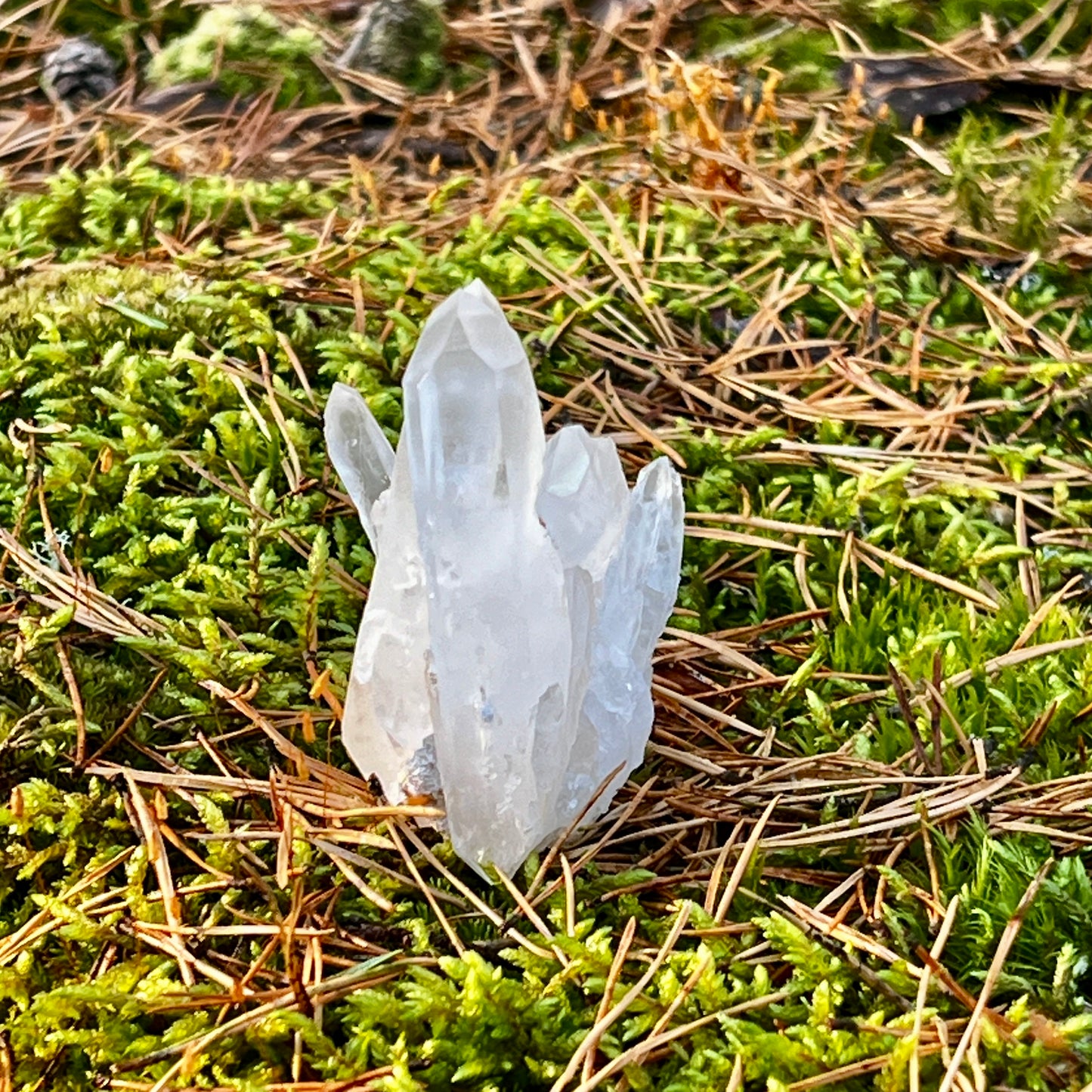 Clear Quartz Cluster