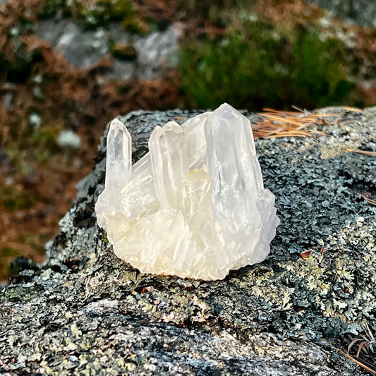 Clear Quartz Cluster