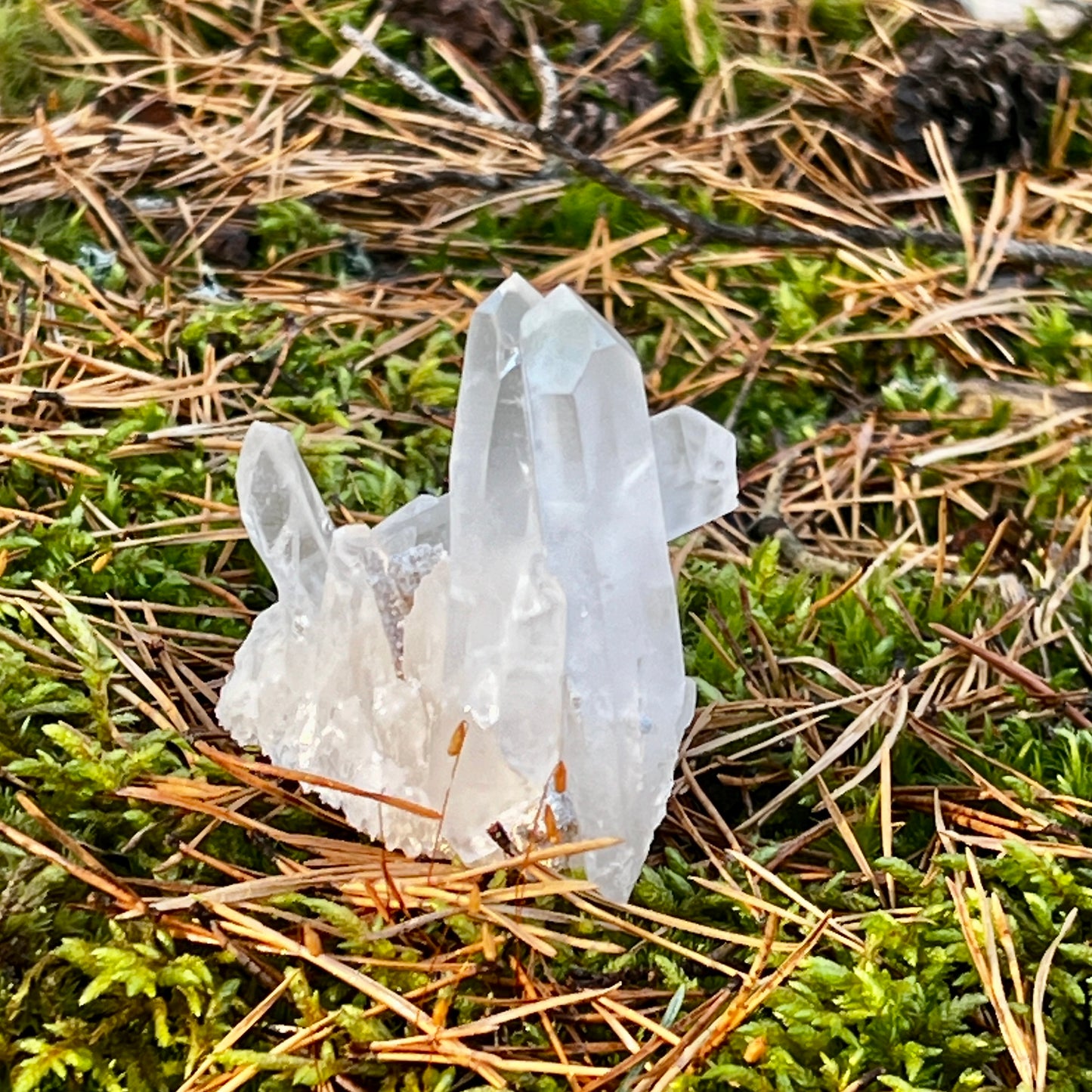 Clear Quartz Cluster