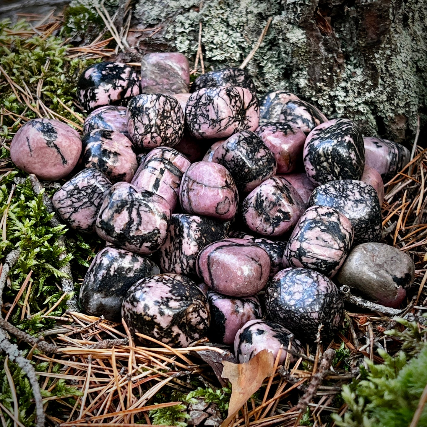 Rhodonite, tumbled