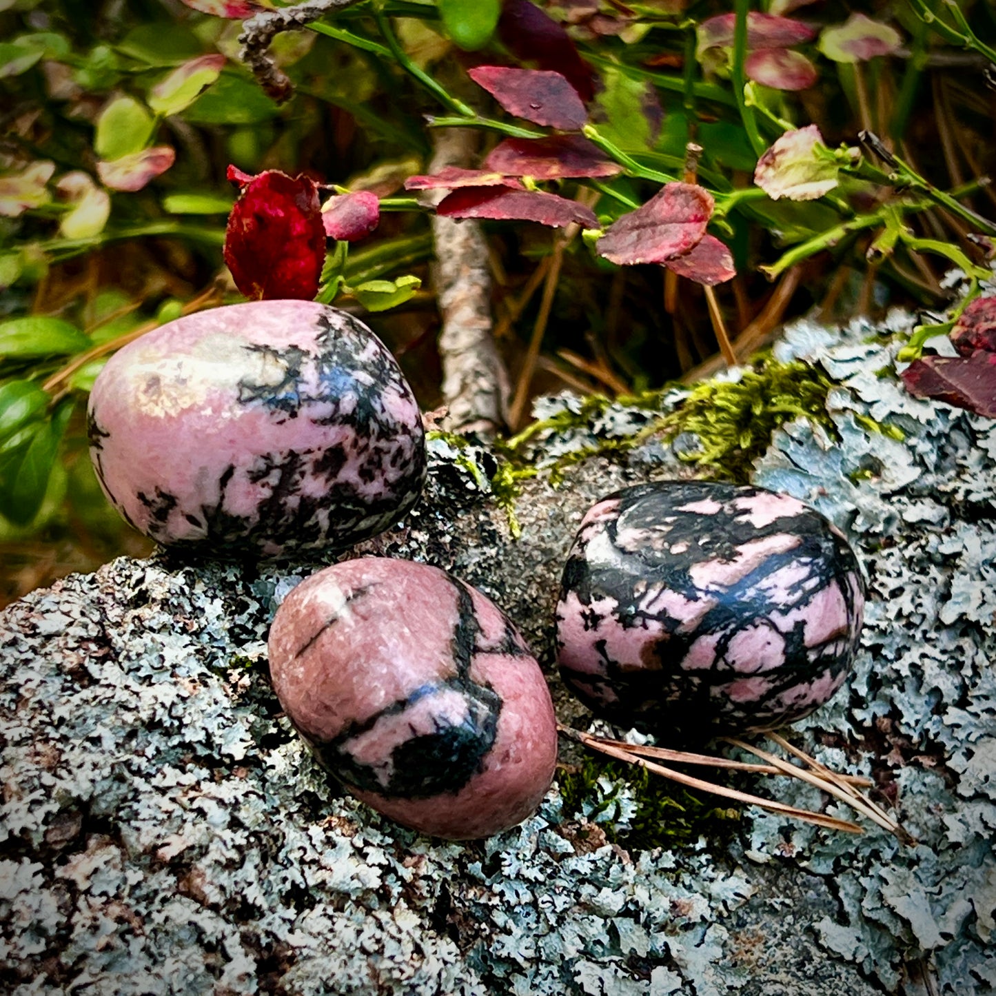 Rhodonite, tumbled